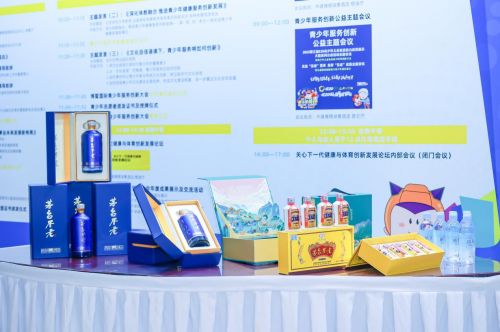 五老主題會議及專項辦公室發布儀式在博鰲國際青少年服務創新大會北京峰會中圓滿舉行