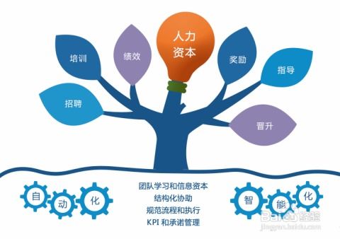 信息化管理賦能企業(yè)運(yùn)營 以信息咨詢服務(wù)為核心